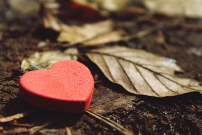 Red heart on ground with dry leaves.