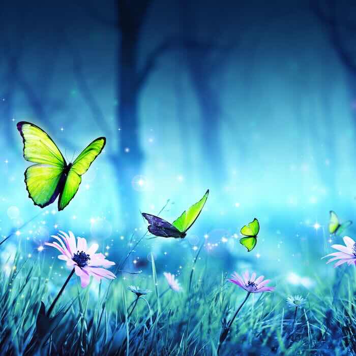 Butterflies flutter above meadow flowers at dusk.